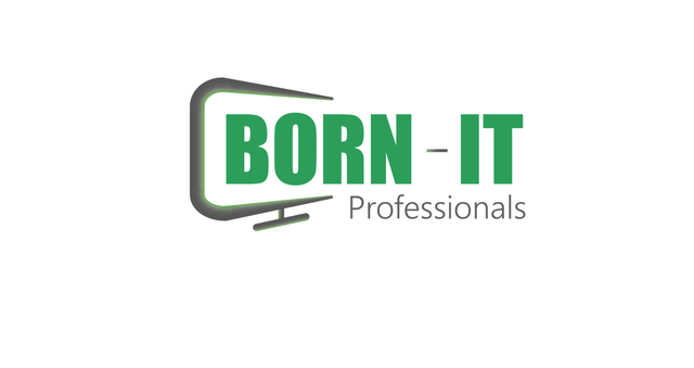 BORN-IT Professionals