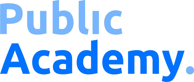 Public Academy