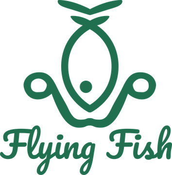 Flying Fish eFoils