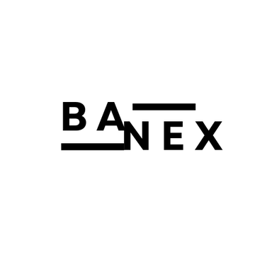 Banex Consulting