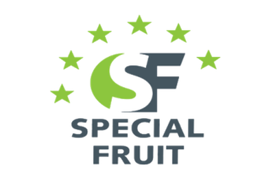 Special Fruit