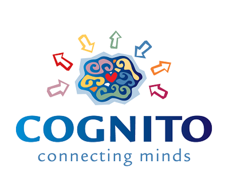 cognito concepts
